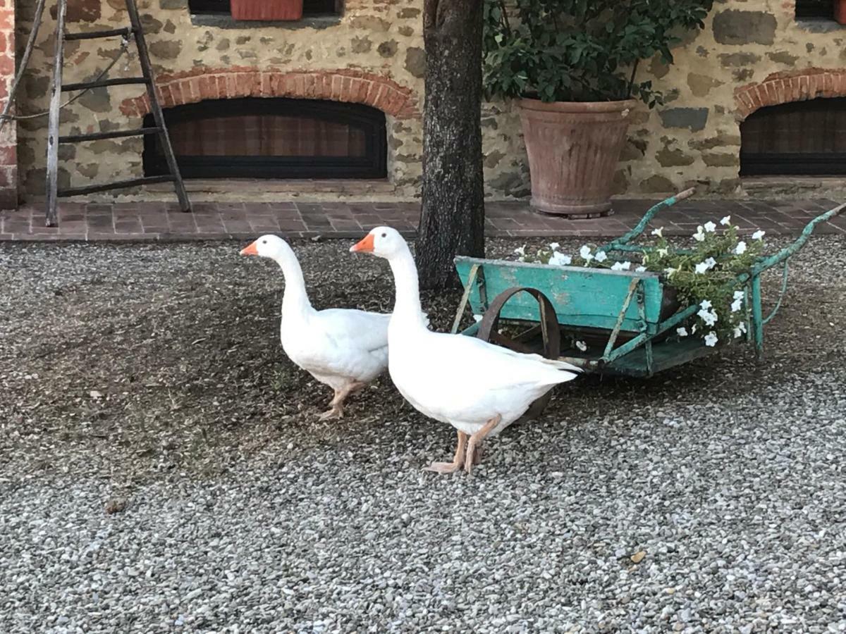 Podere La Fausta Serravalle Pistoiese Luaran gambar